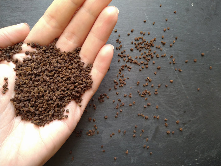 À la découverte des thés Indiens