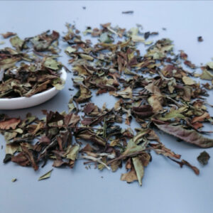 Découvrez ce thé Burstea. C'est un thé blanc de Chine en feuilles entières